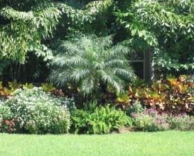 Landscaping Design in Miami